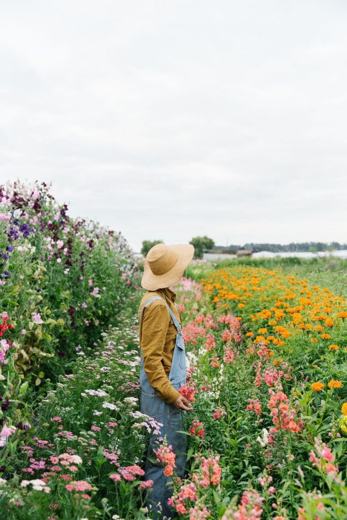 self care social, young agrarians, vancouver, chilliwack