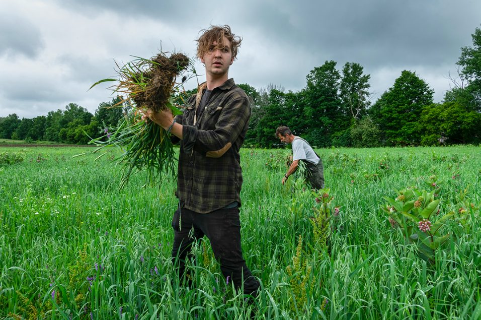 Ironwood Organics. Photo by Andrée Thorpe