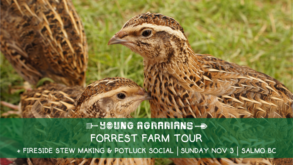 Forrest farms, salmo, quaills