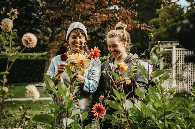 city beet farm, fundraiser, vancouver
