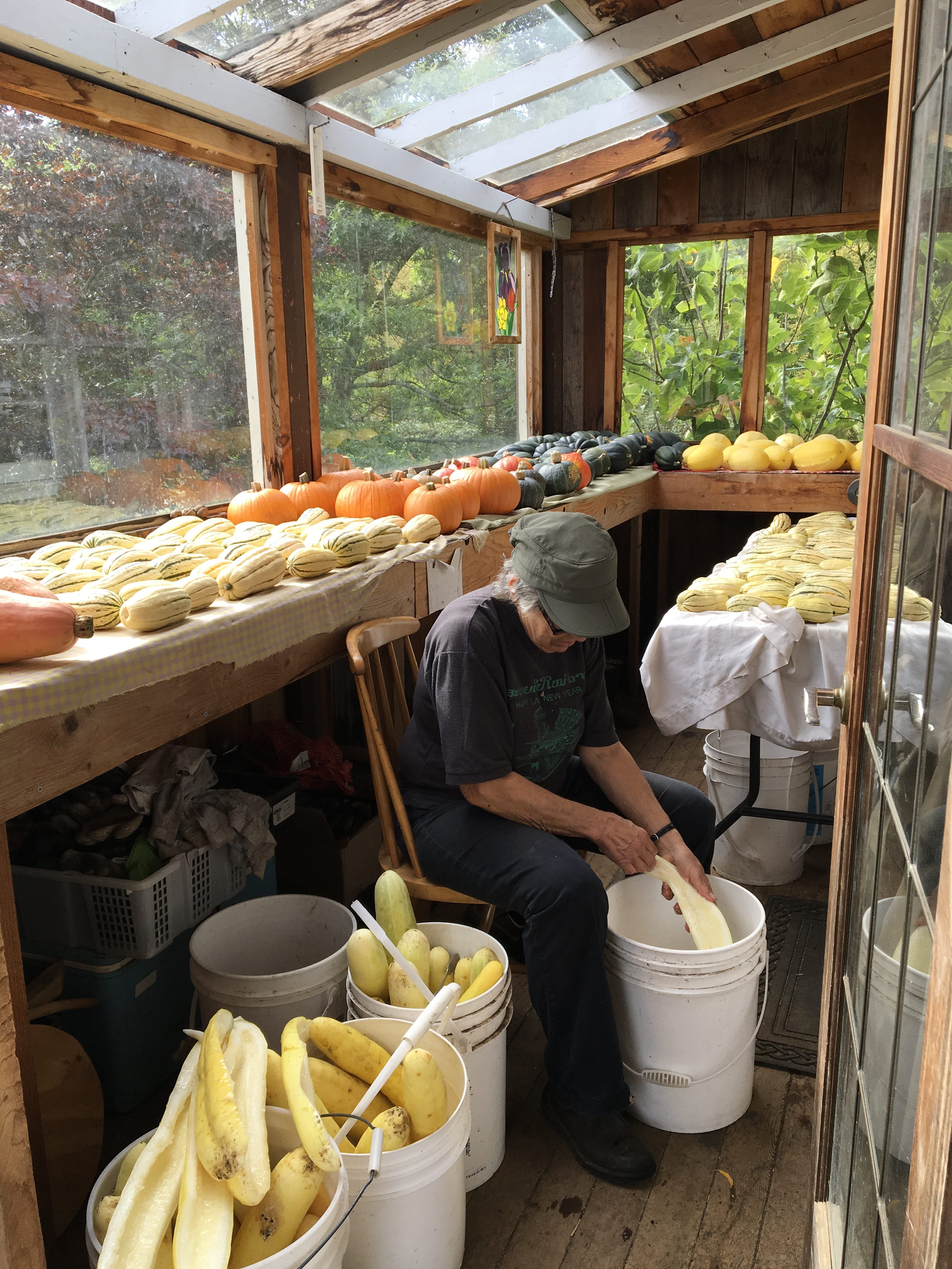 alm farm, sooke, vancouver island, seed