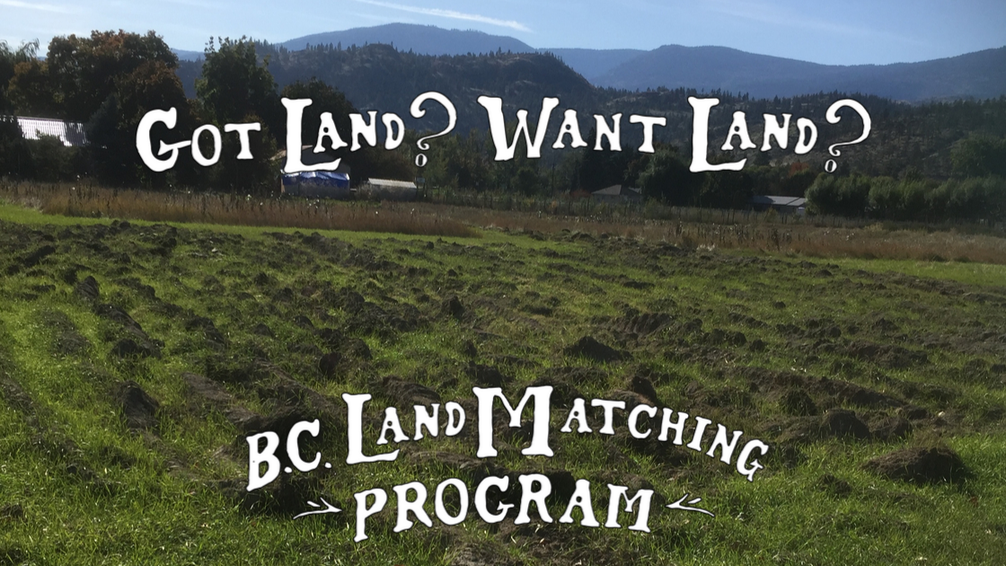 LAND OPPORTUNITY Permaculture Farm in Oliver, BC Young Agrarians