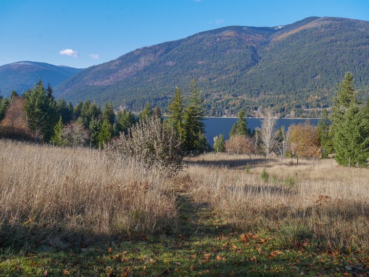 View over the property