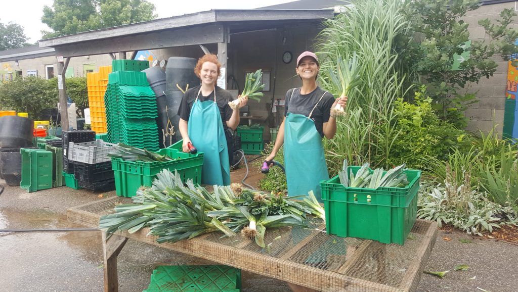 ignatius farm staff, guelph