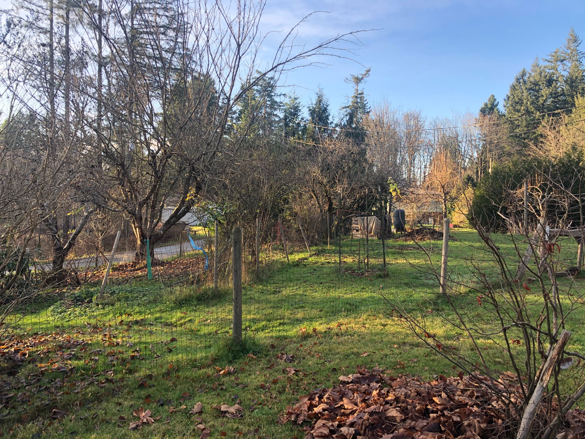 FILLED LAND OPPORTUNITY 2 Bedroom Suite with garden for food