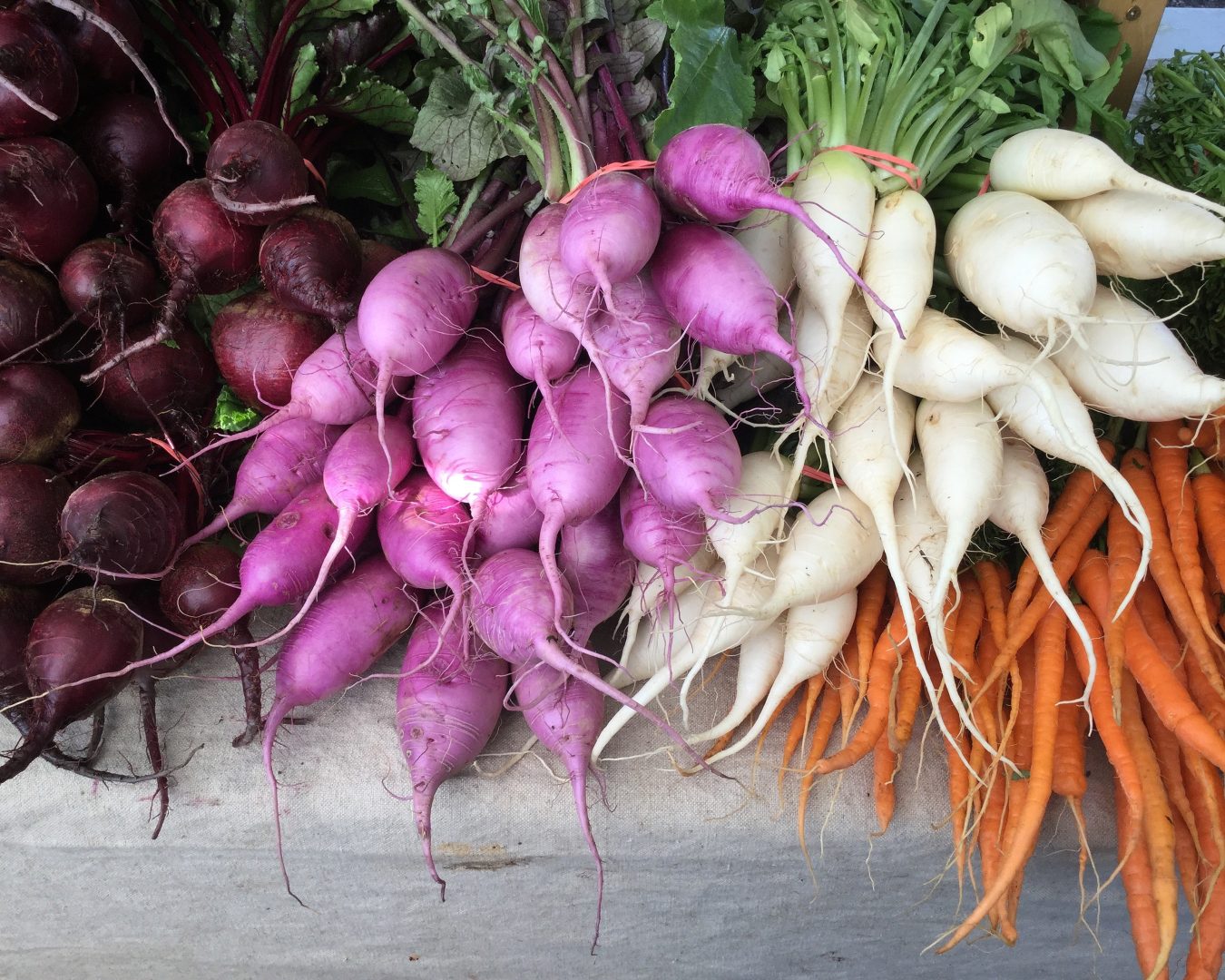 heavenly roots farm, salt spring island, farm, apprenticeships, internships