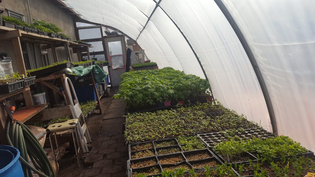 FARM JOB WINNIPEG, MB Heart Acres Farm, Greenhouse Manager