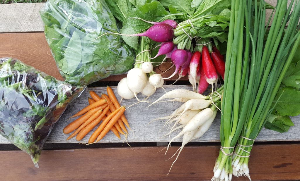puddle produce, williams lake, farm job