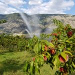 FARM JOBS: CAWSTON, BC – Snowy Mountain Organics, Multiple Positions & Apprenticeships