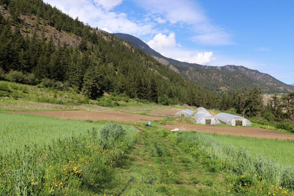Stein Mountain Farm, lytton, apprenticeship, internship