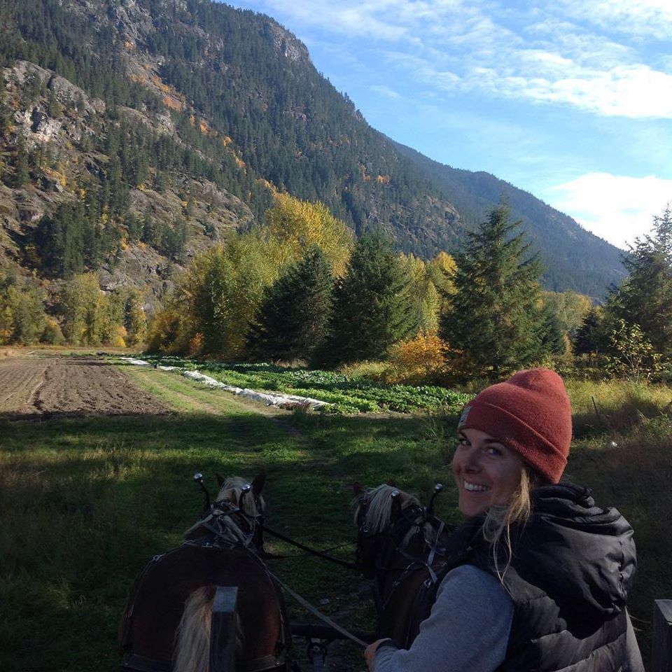 four beat farm, farm job, pemberton