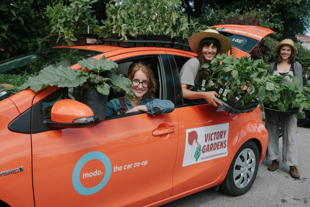 victory gardens, vancouver, farm jobs