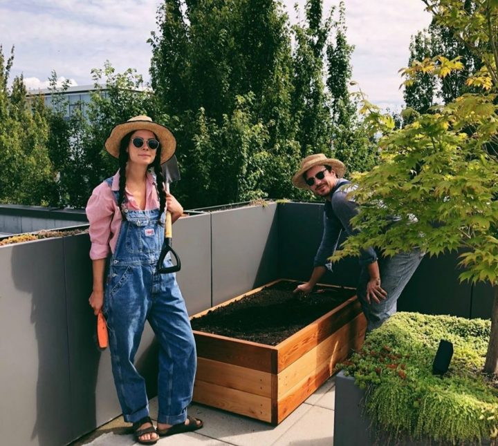 victory gardens, vancouver, farm jobs