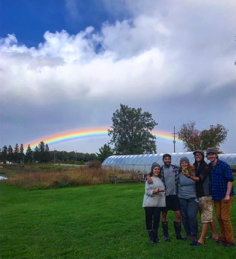 Blue Wheelbarrow farm, prince edward county, picton, ontario, farm job, field manager