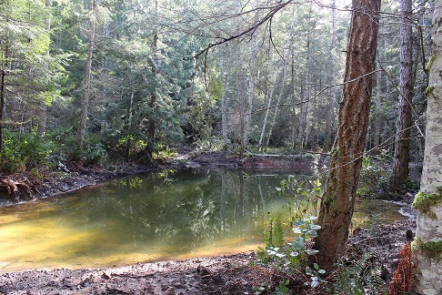 Dug Pond with Hydro Dam SL 1