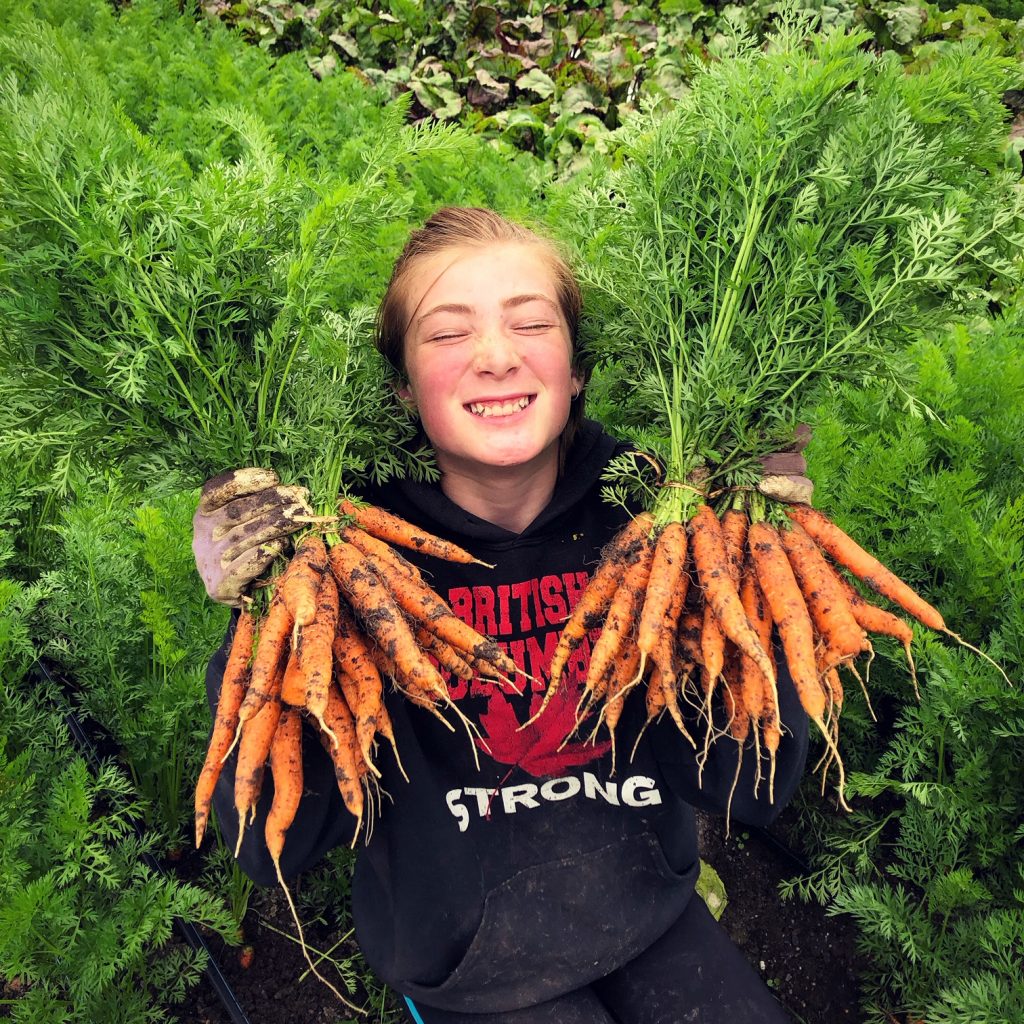 100 mile house, farm job, big rock ranch