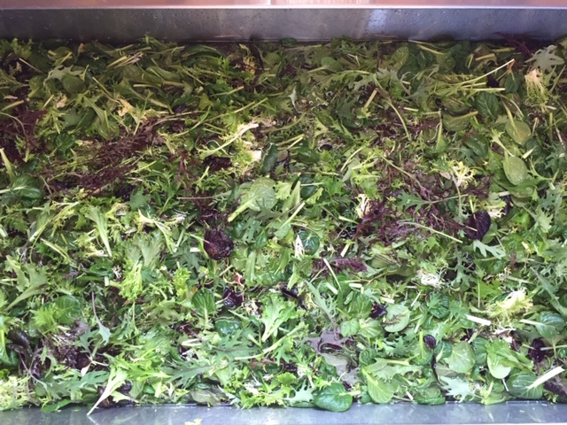 stable harvest farm, langley, vancouver, farm job