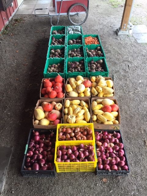 stable harvest farm, langley, vancouver, farm job