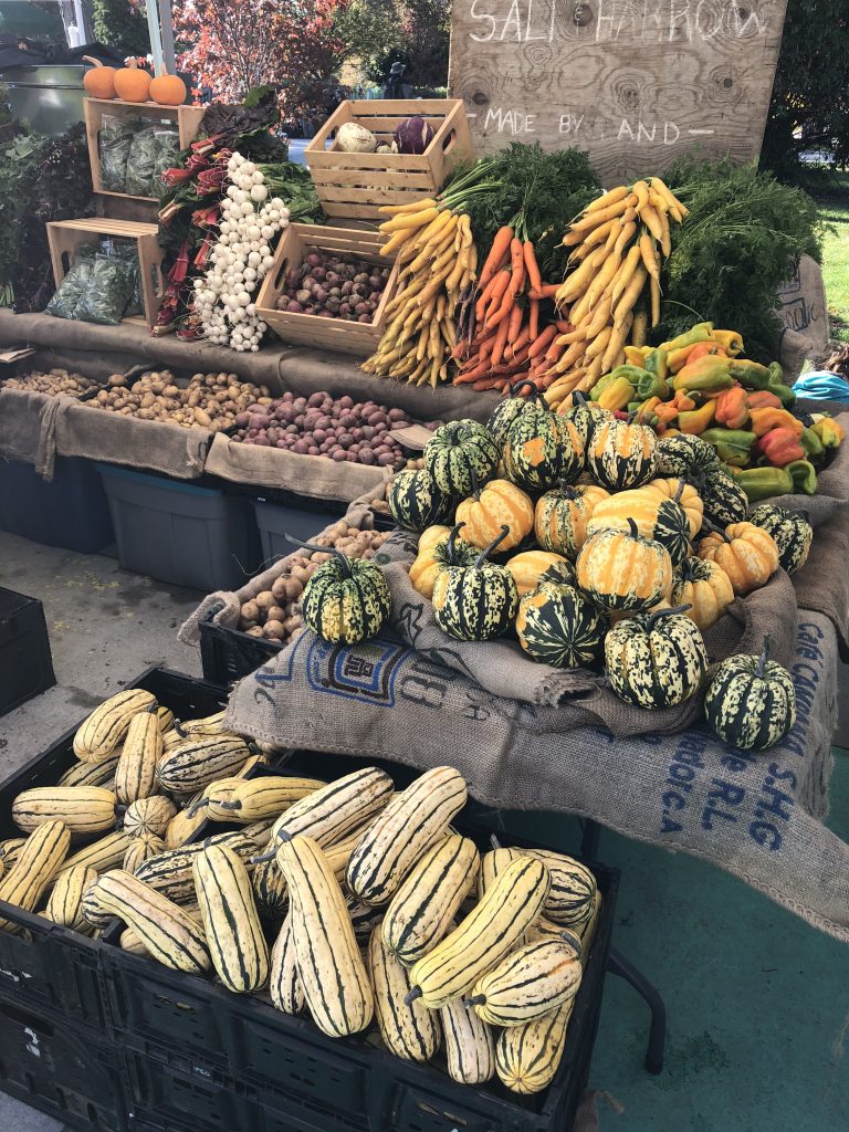 Salt & Harrow Farm, farm job, tsawwassen, vancouver