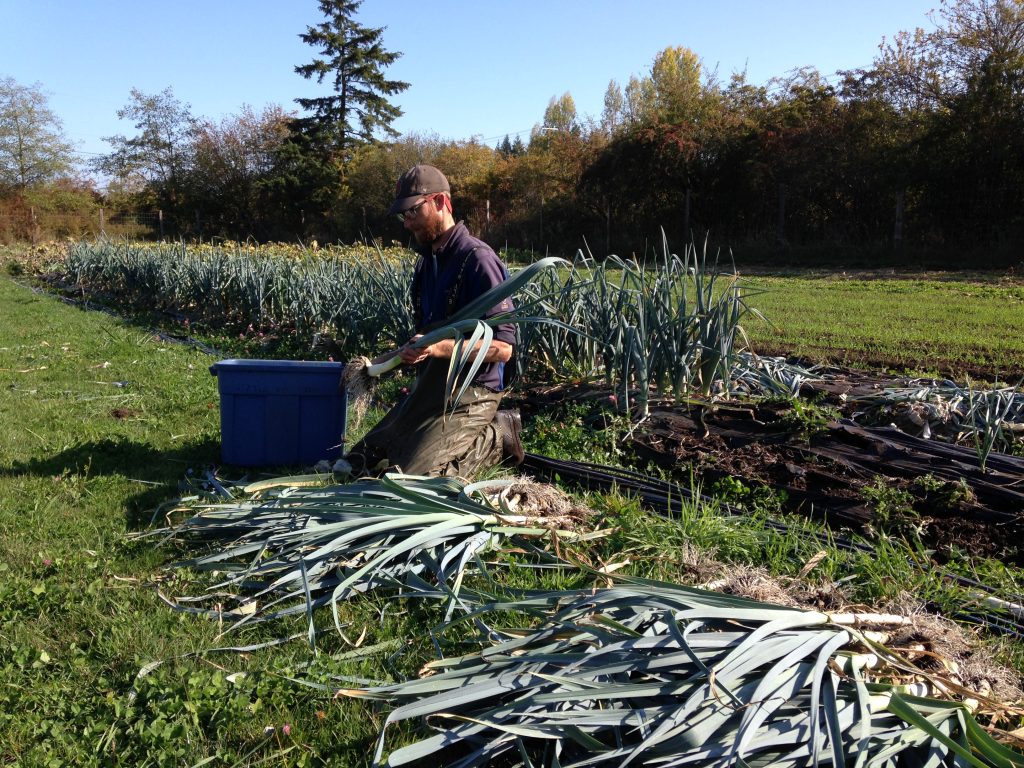 Tatlo Road Farm, farm job, crofton, duncan