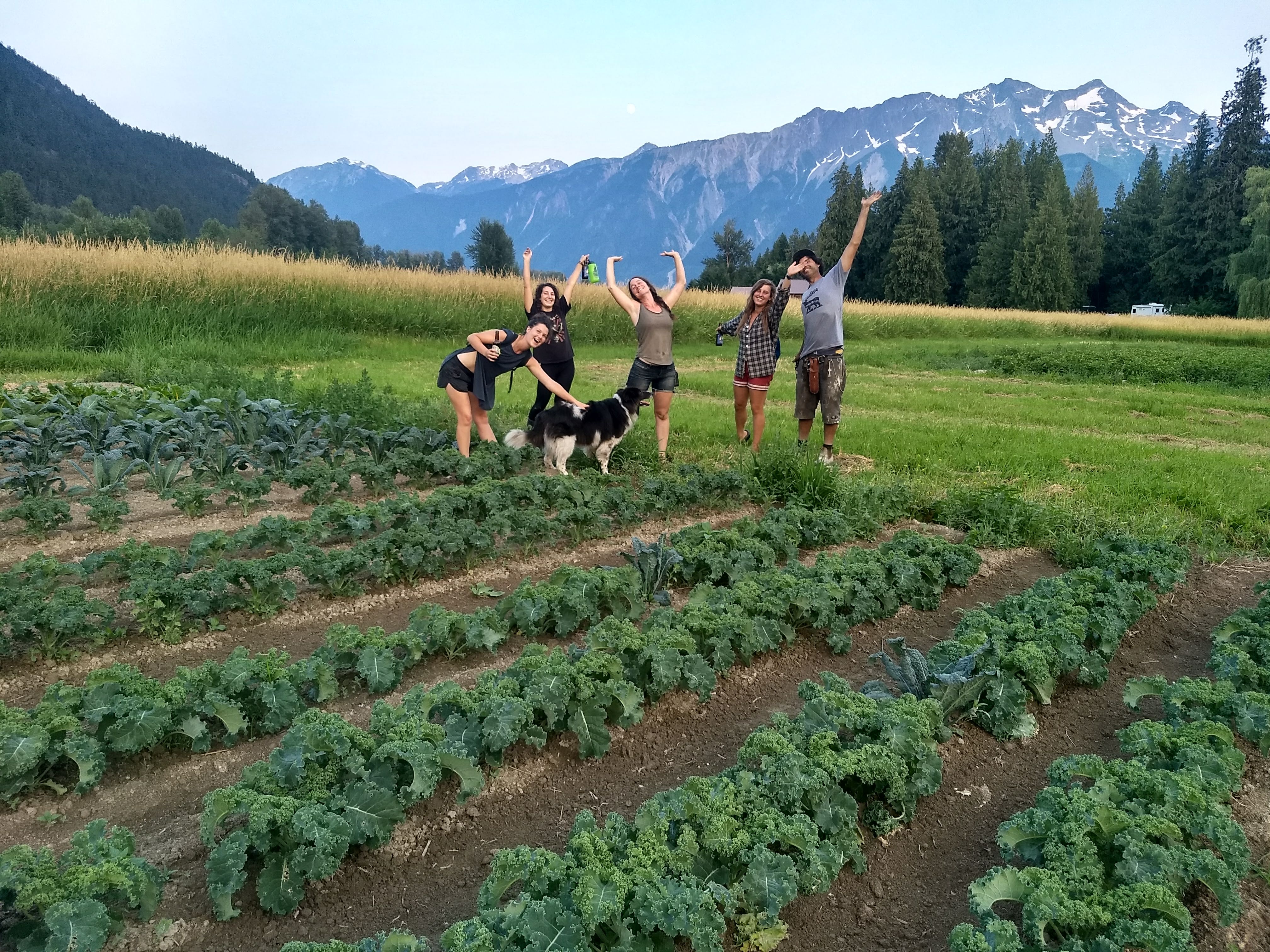 laughing crow organics, farm jobs, pemberton