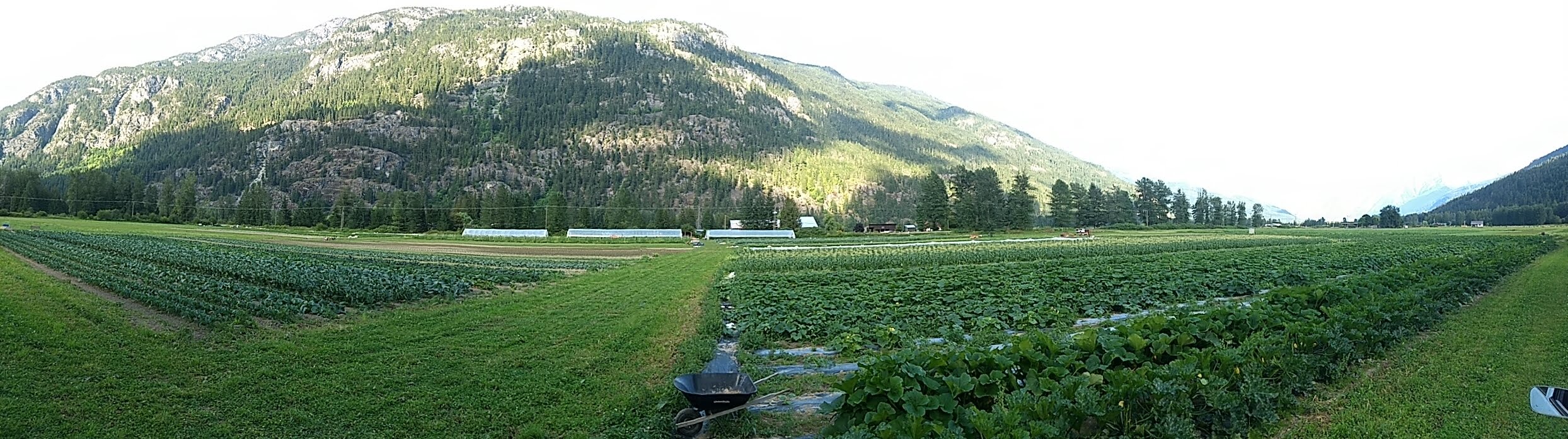 laughing crow organics, farm jobs, pemberton