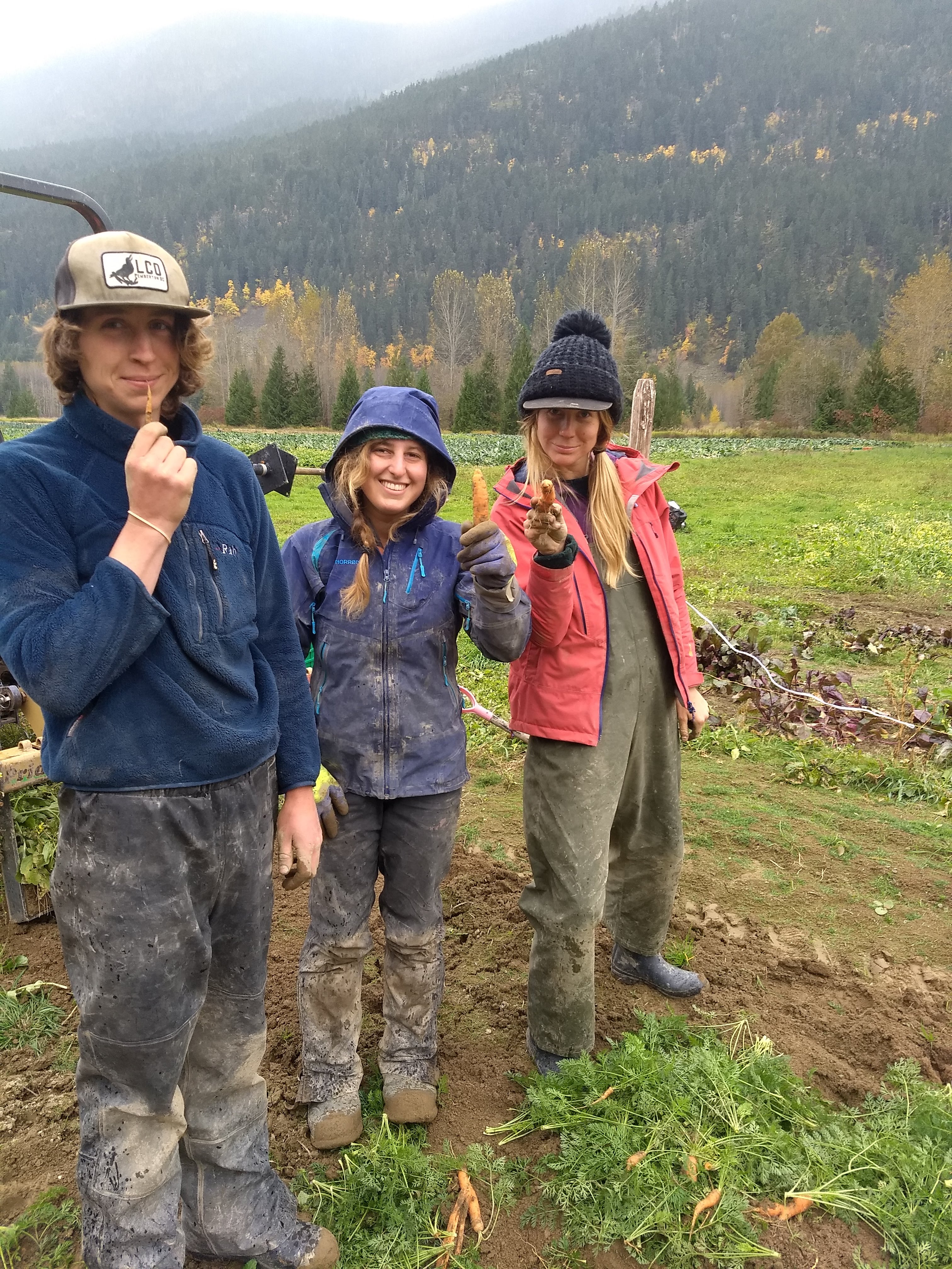 laughing crow organics, farm jobs, pemberton