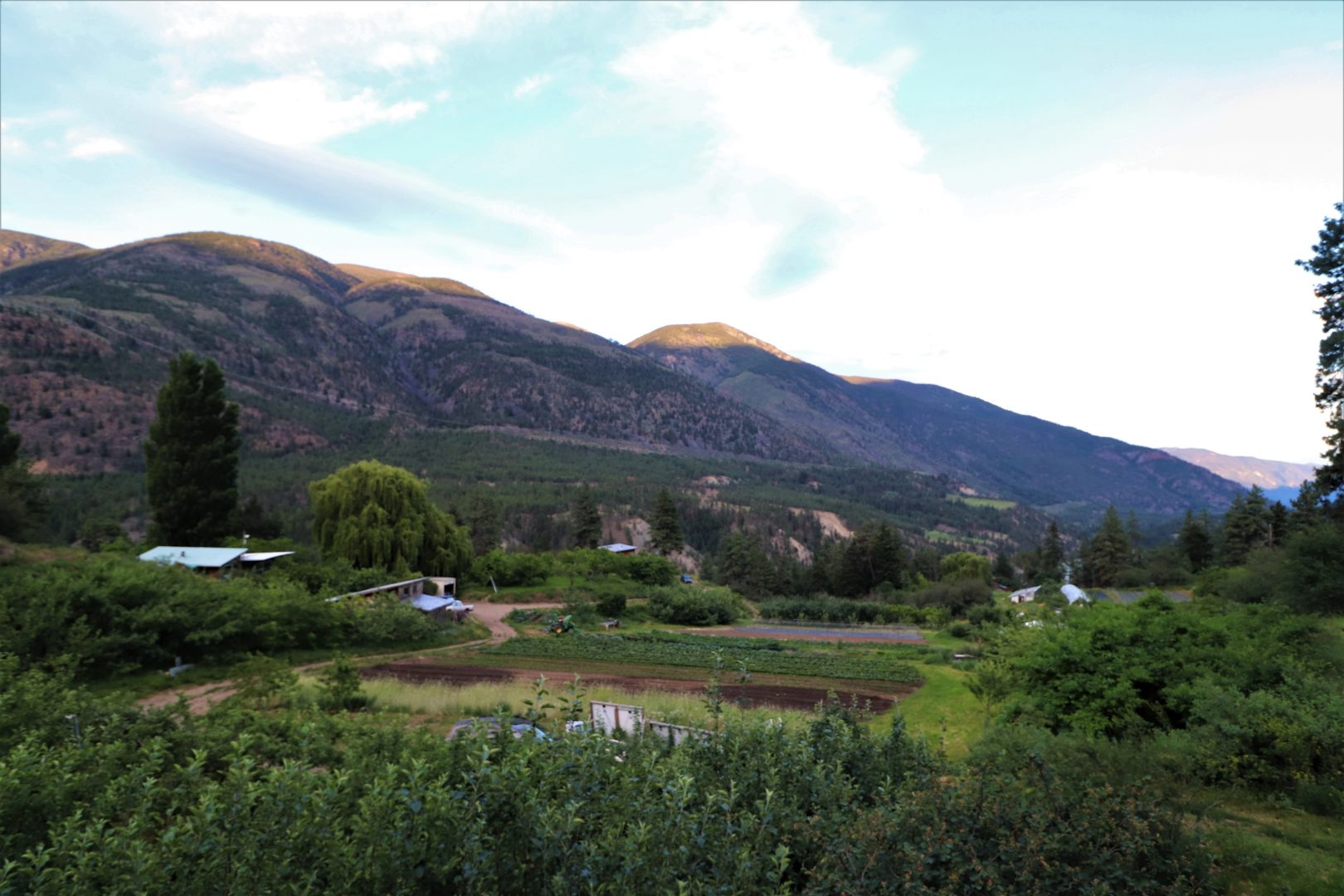 Stein Mountain Farm, lytton, apprenticeship, internship Young Agrarians