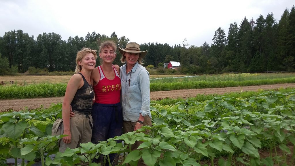 green fire farm, cowichan valley, farm job