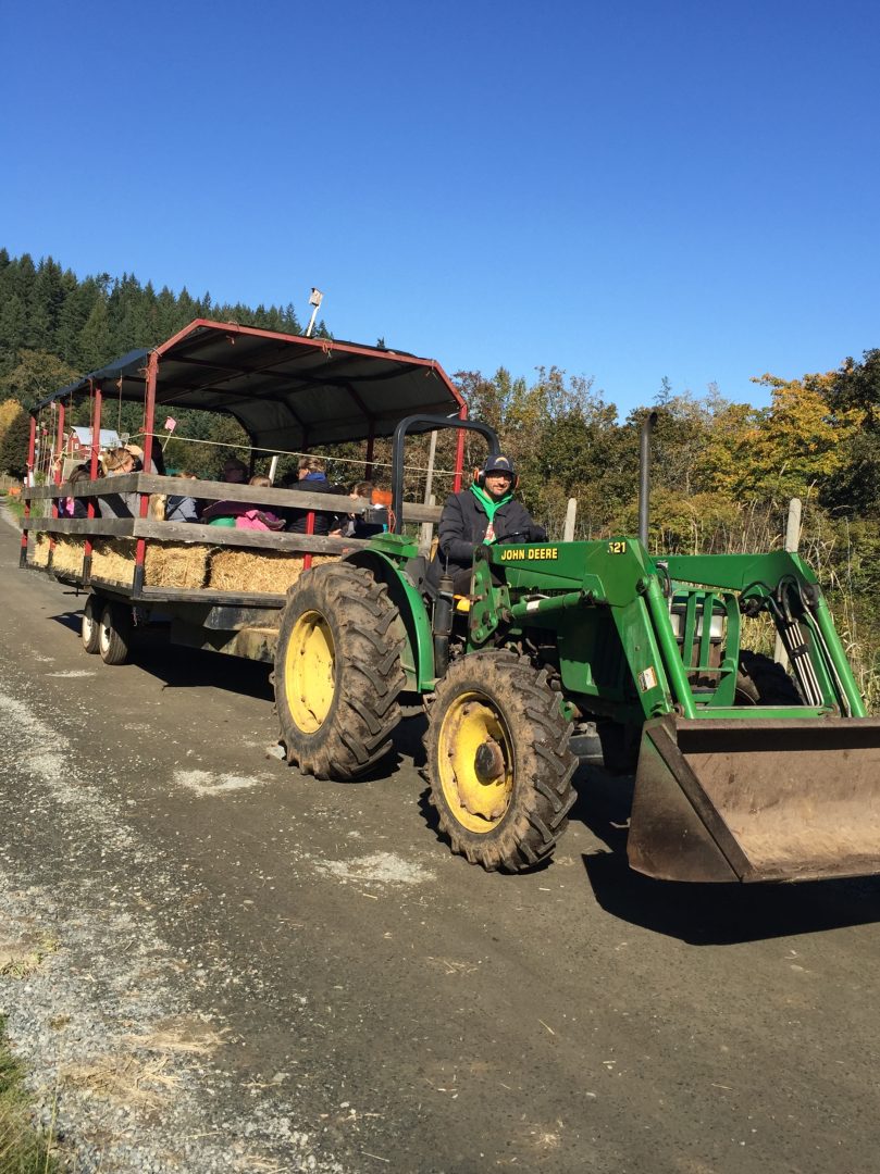 providence farm, duncan bc, farm job, vancouver island, cowichan