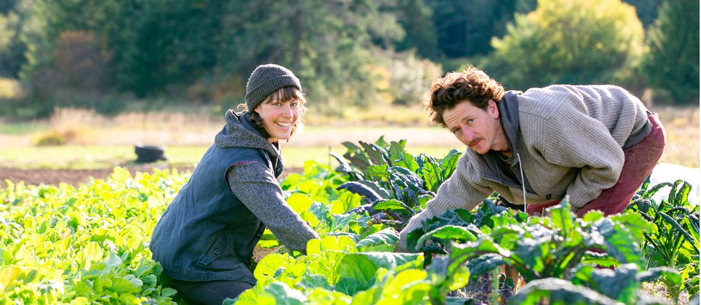 heavenly roots farm, salt spring island, farm, apprenticeships, internships