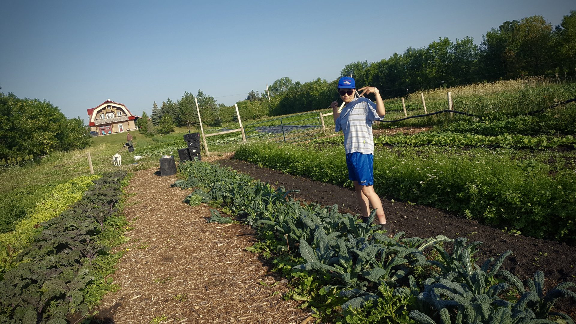 heart acres farm, winnipeg, farm job, greenhouse manager