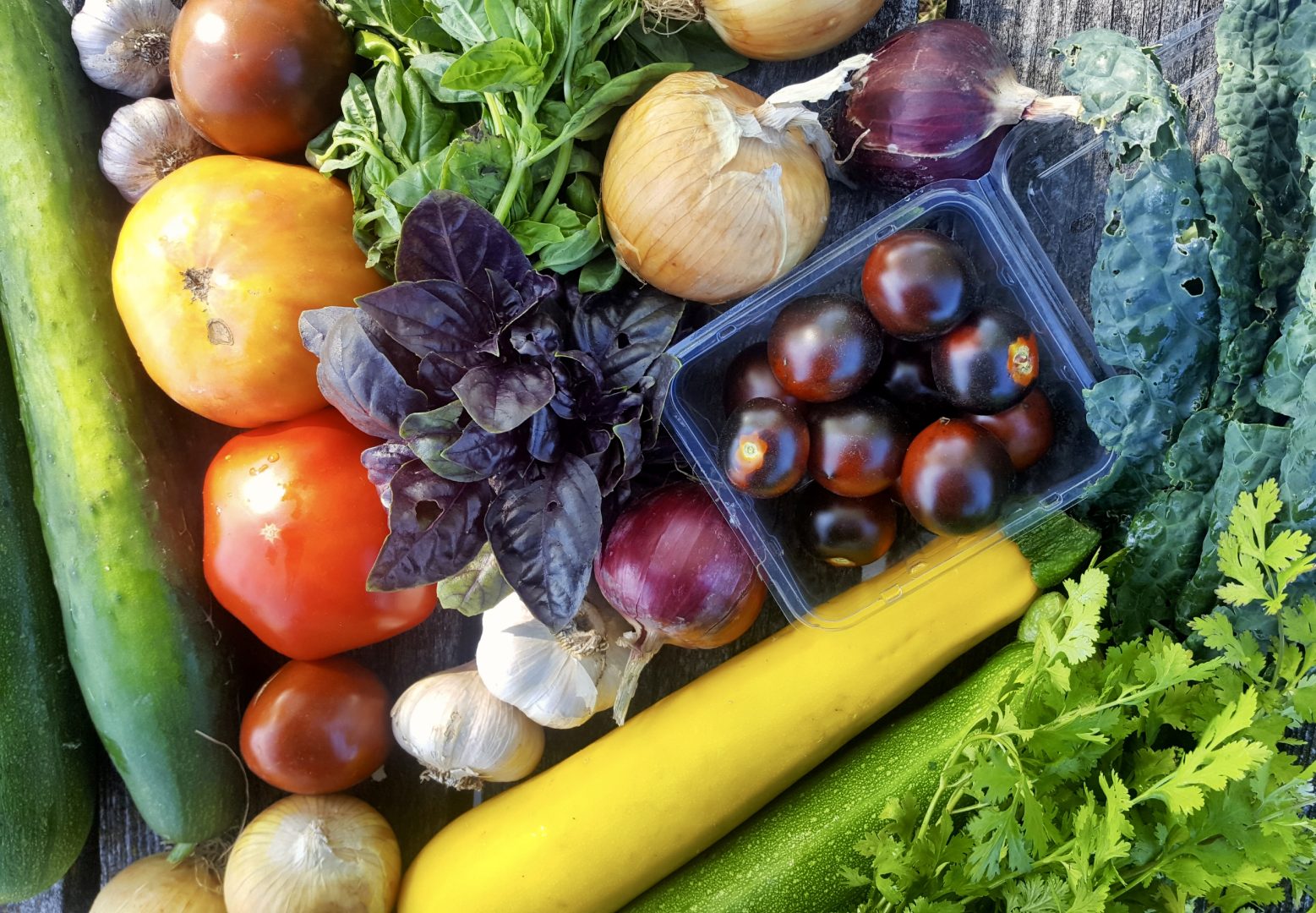 heart acres farm, winnipeg, farm job, greenhouse manager