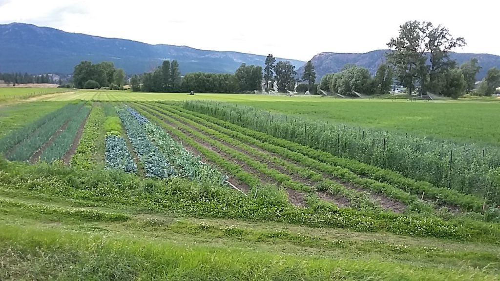 4 elements farm, farm apprenticeship, internship, oyama, kelowna, vernon