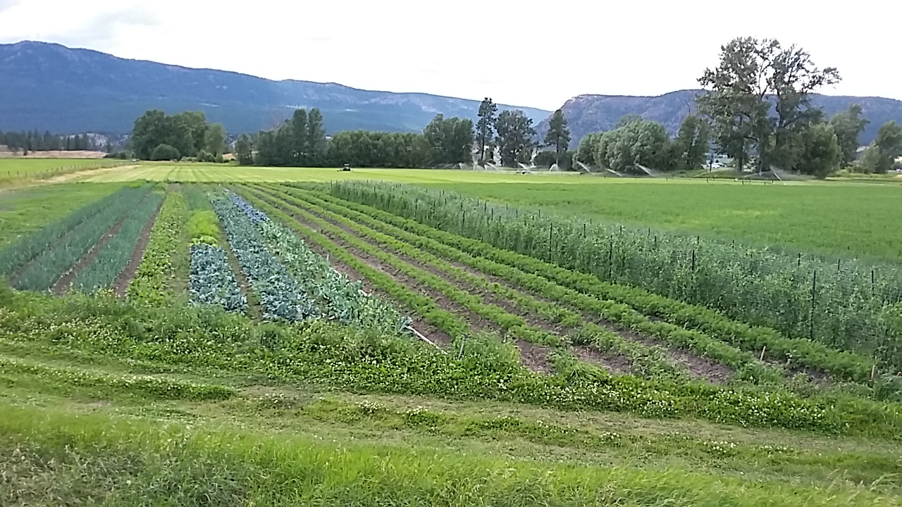 FARM APPRENTICESHIP OYAMA, BC 4 Elements Farm FARM APPRENTICESHIP OYAMA, BC 4 Elements Farm