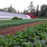 FARM JOB: POWELL RIVER, BC – Terra Nostra Organic Farm, Farm Hand