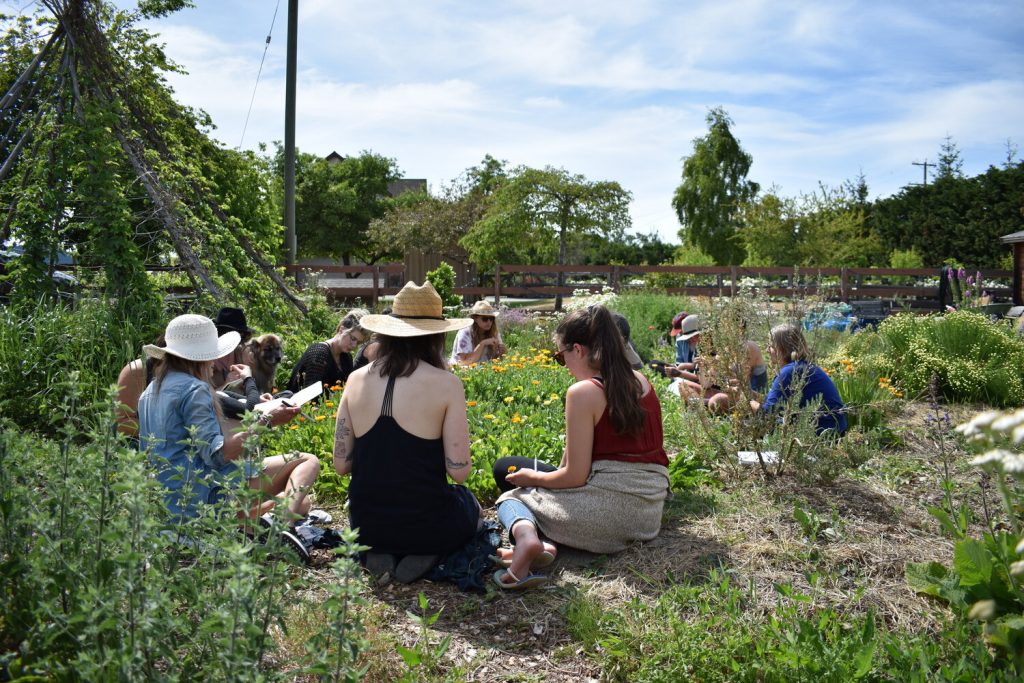 fireweed farm and school, brentwood bay, vancouver island, farm apprenticeships, internships, herb, herbalist