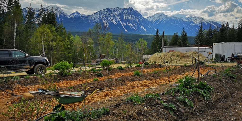 goonieland permaculture farm, golden, farm apprenticeship