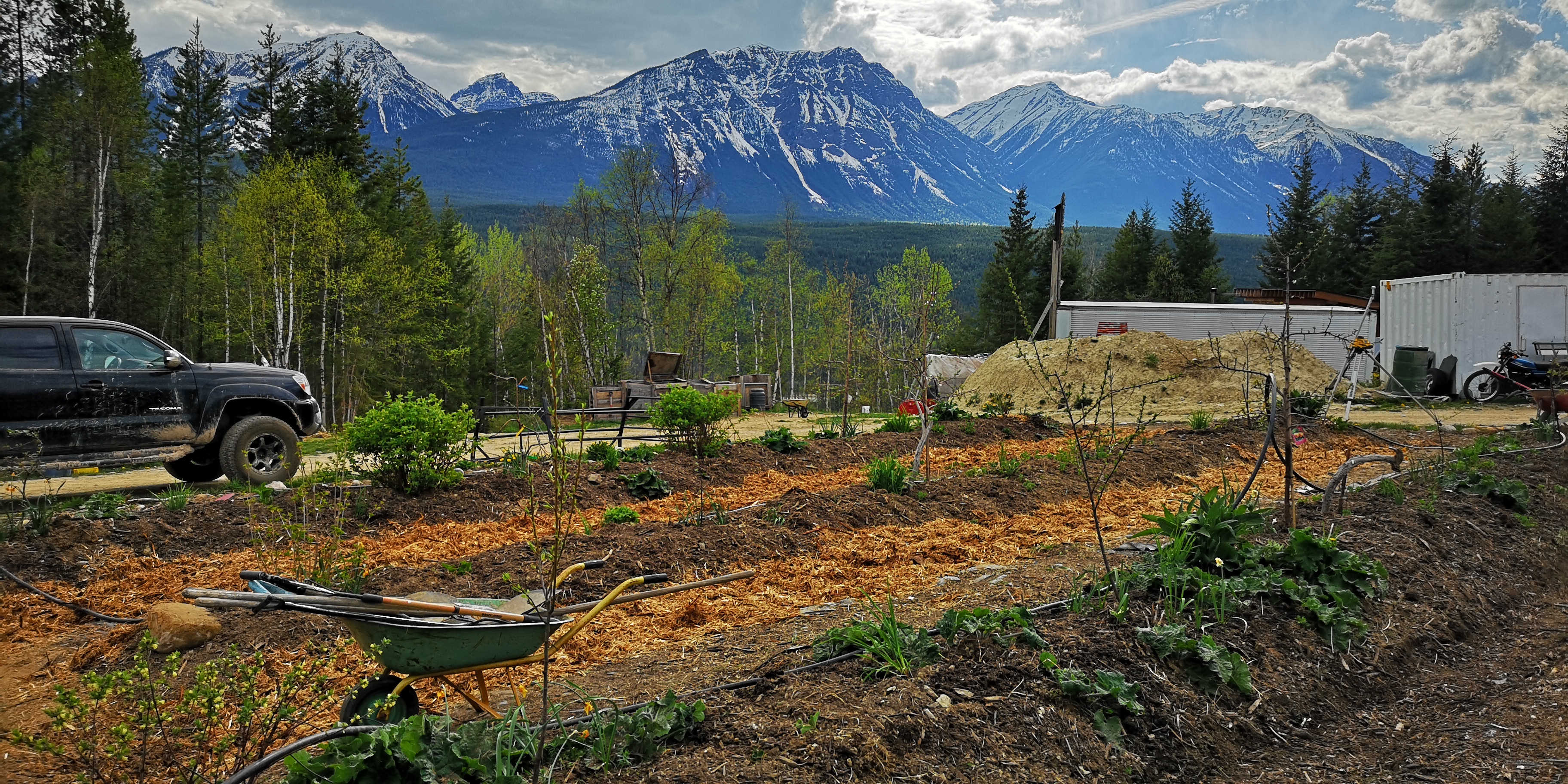 goonieland permaculture farm, golden, farm apprenticeship