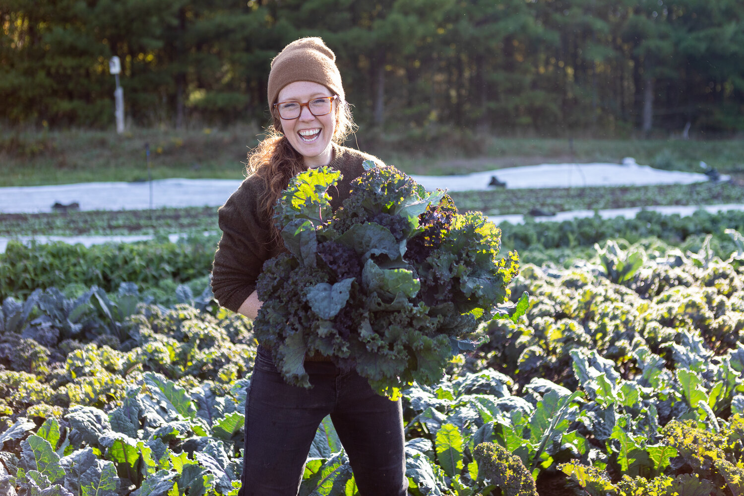 FARM JOBS MARKHAM, ON Joyfully Organic Farm, Farm Staff