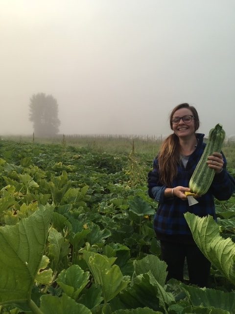 earth apple farm, farm hand, farm job, abbotsford