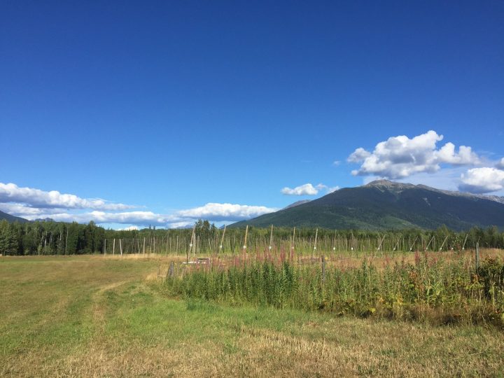 38646934_1536371599802274_4507749257268166656_o