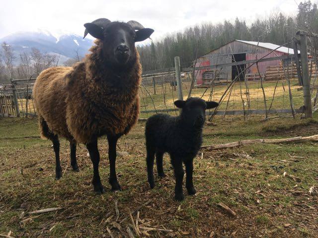 61857570_1935781486527948_2818311261362585600_n