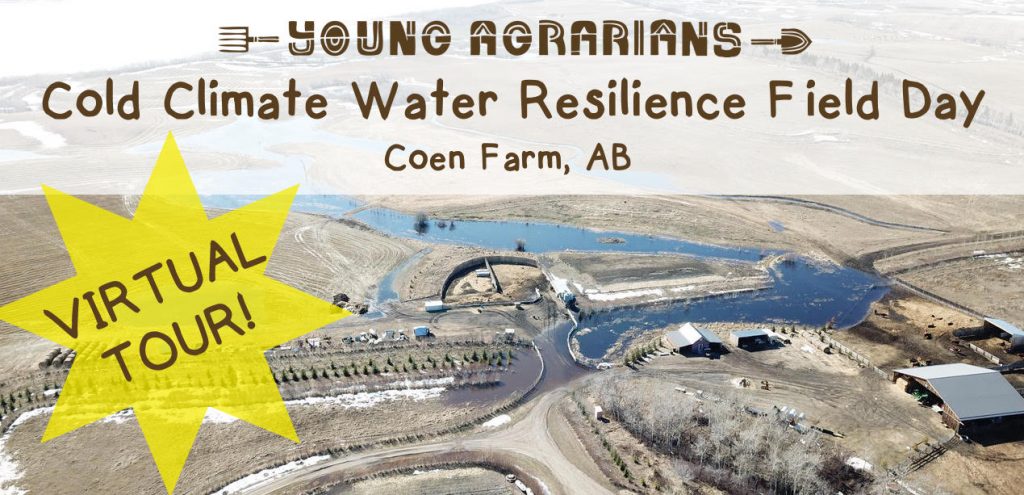 coen farm, permaculture, tour, young agrarians
