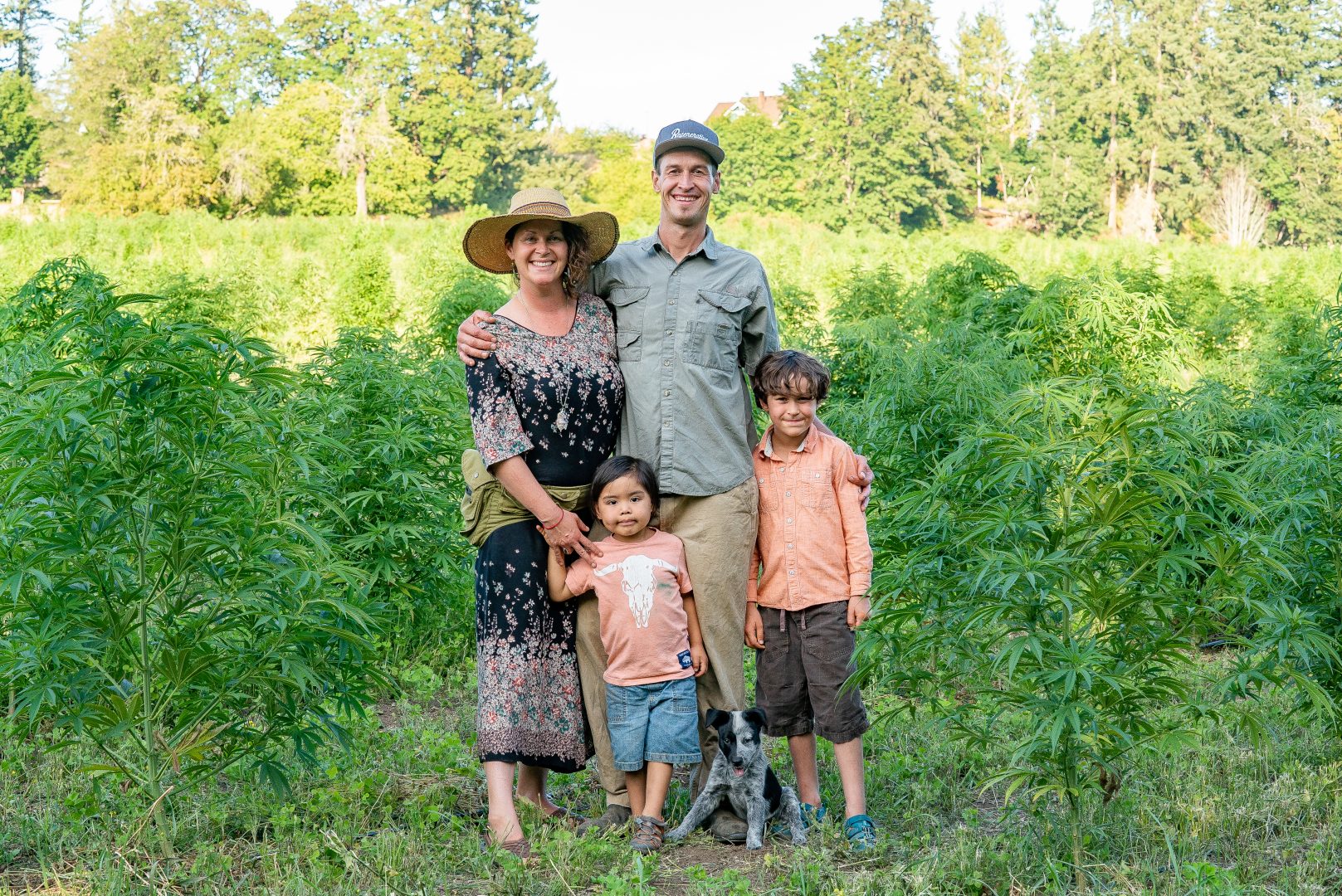 Haslam Creek Farm, vancouver island, nanaimo, farm job