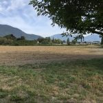 LAND OPPORTUNITY: Up to 6 Acres plus Housing! – Yarrow, BC