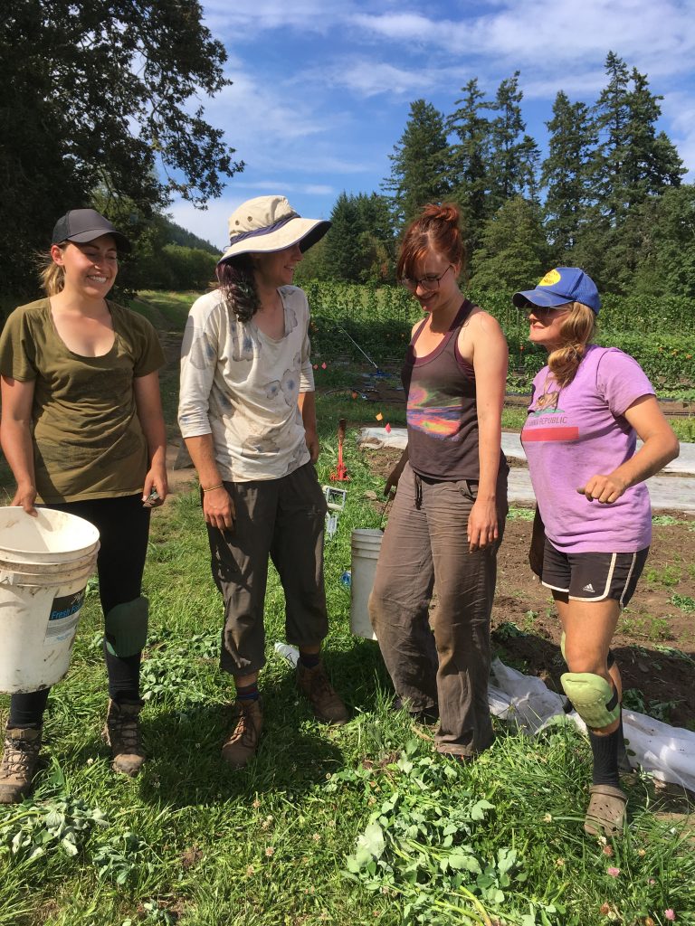 square root farm, farm job, victoria, vancouver island, saanich