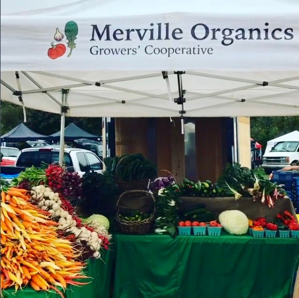 merville organics, farm job, merville, vancouver island