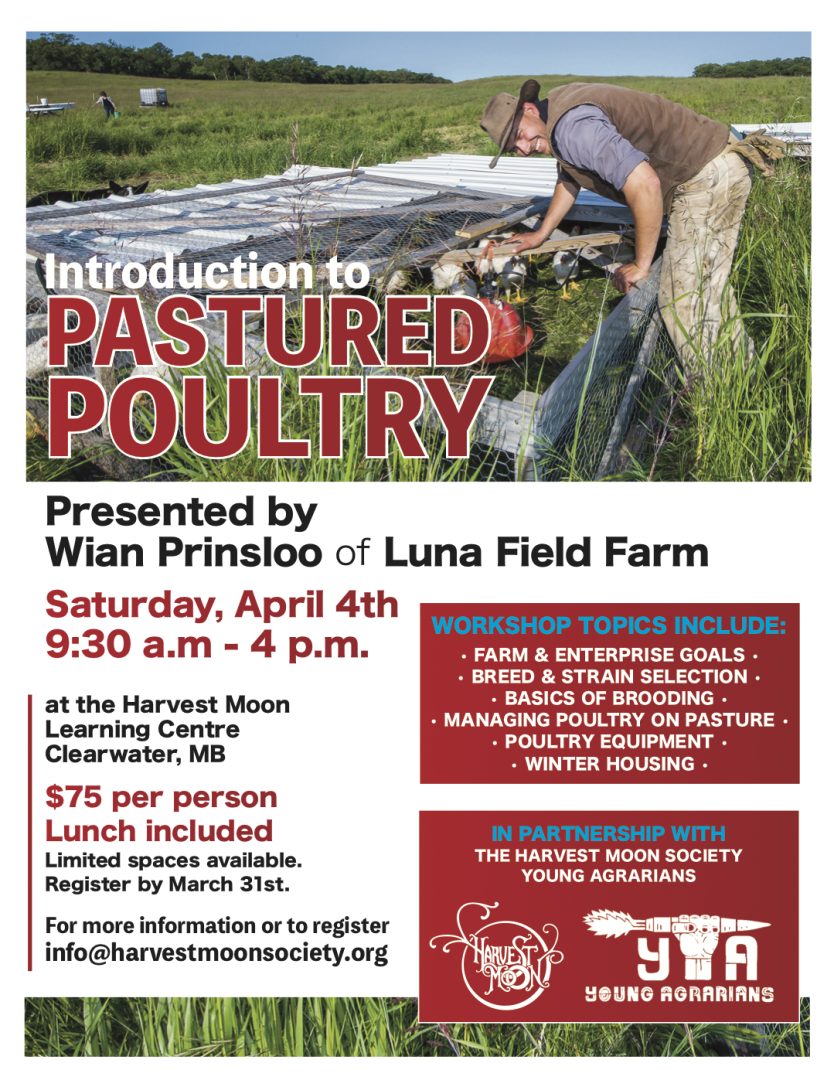 Pastured Poultry, clearwater, manitoba, workshop, young agrarians, luna field farm
