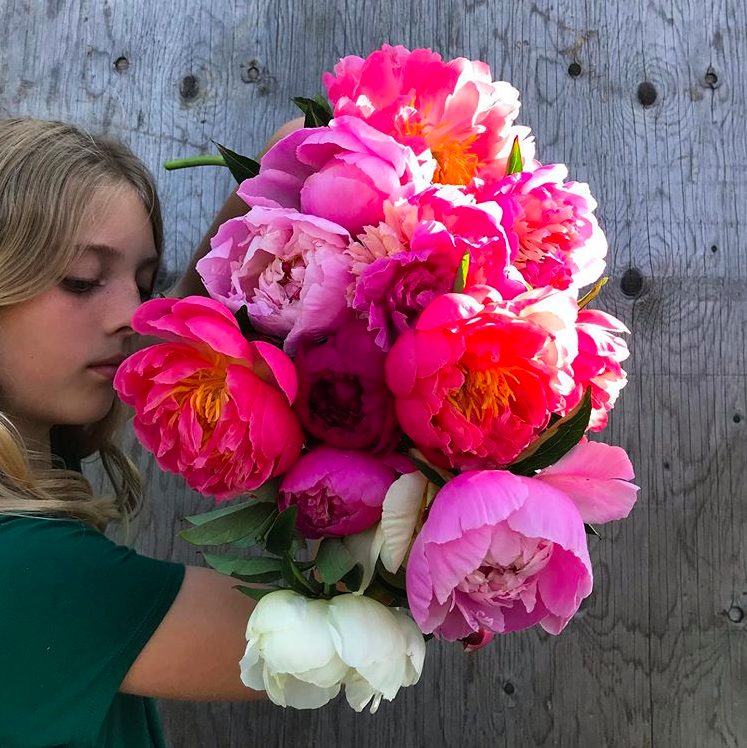 vancouver, delta, river and sea flowers, farm job, flower farm